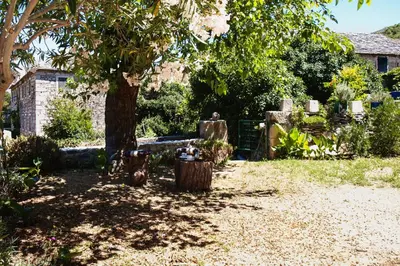 Vrt u objektu Holiday house with WiFi Dol, Brac - 5674