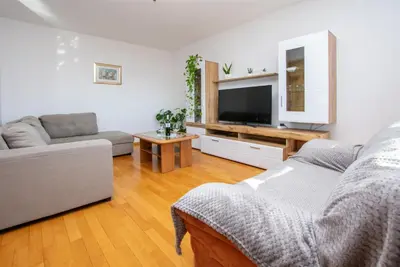 TV i/ili zabavni centar u objektu Apartment Zdravko