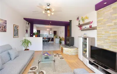 TV i/ili zabavni centar u objektu Four-Bedroom Apartment In Srinjine