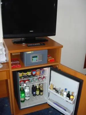 TV i/ili zabavni centar u objektu Hotel Rosina