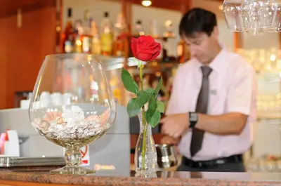 Pića u objektu Hotel Rosina