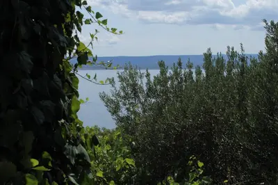 Priroda u blizini apartmana