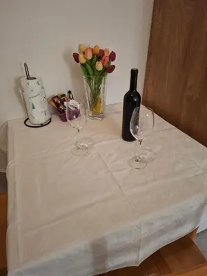 Pića u objektu Apartments Elvira