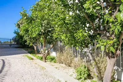 Priroda u blizini apartmana