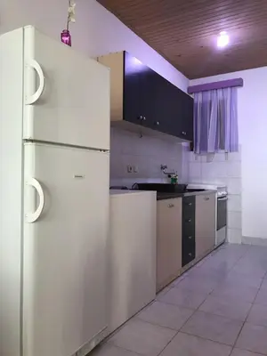 Kuhinja ili čajna kuhinja u objektu Seaside secluded apartments Cove Pobij, Hvar - 5712