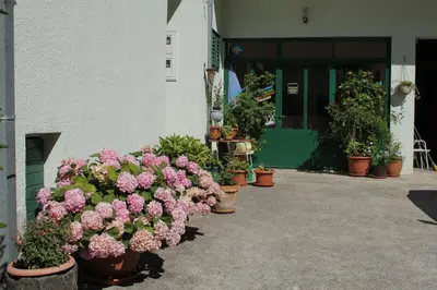 Vrt u objektu Apartments and rooms with parking space Makarska - 6759