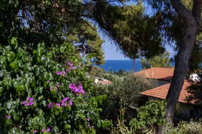 Priroda u blizini apartmana