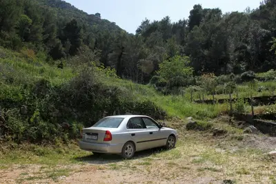 Priroda u blizini apartmana