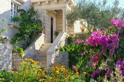 Vrt u objektu Apartments by the sea Pucisca, Brac - 2927