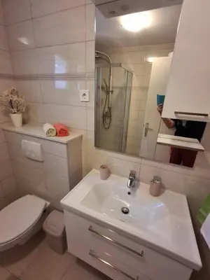 Kupaonica u objektu Apartments Marino