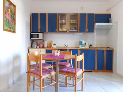 Kuhinja ili čajna kuhinja u objektu Apartments Borovina