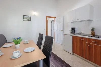 Kuhinja ili čajna kuhinja u objektu Villa Emilija