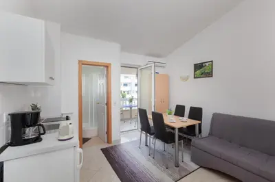Kuhinja ili čajna kuhinja u objektu Villa Emilija