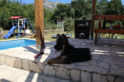 Bazen u objektu Oak House ili u blizini