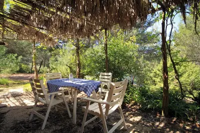Vrt u objektu Seaside holiday house Cove Grebisce, Hvar - 3375