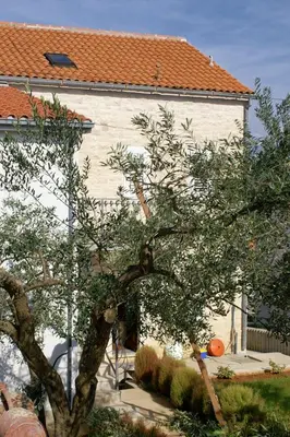 Tlocrt objekta Apartments with a parking space Splitska, Brac - 9657
