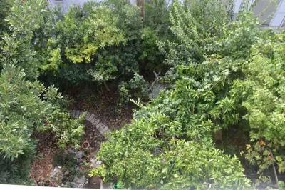 Vrt u objektu Apartment Makarska 11361b