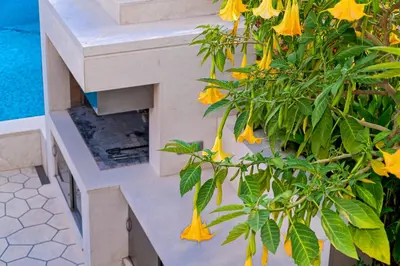 Tlocrt objekta Seaside luxury villa with a swimming pool Puntinak, Brac - 2964