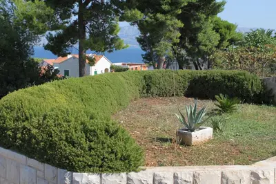 Priroda u blizini apartmana