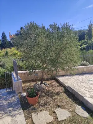 Vrt u objektu Villa Anja