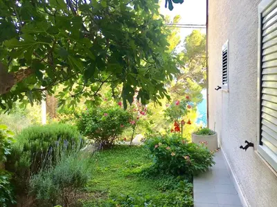 Vrt u objektu Apartment Martinovic
