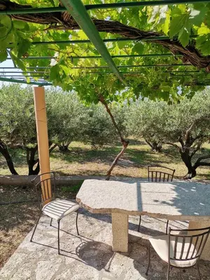 Vrt u objektu Holiday home Oliva cottage