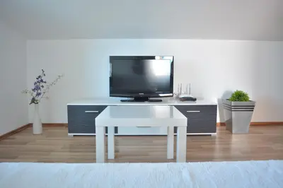 TV i/ili zabavni centar u objektu Apart-pansion Promajna