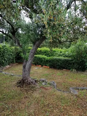Tlocrt objekta Holiday house with WiFi Supetar, Brac - 12323