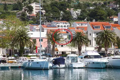 Priroda u blizini apartmana