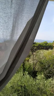 Priroda u blizini apartmana