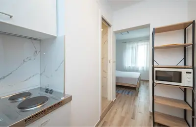 Kuhinja ili čajna kuhinja u objektu Apartments Zecic