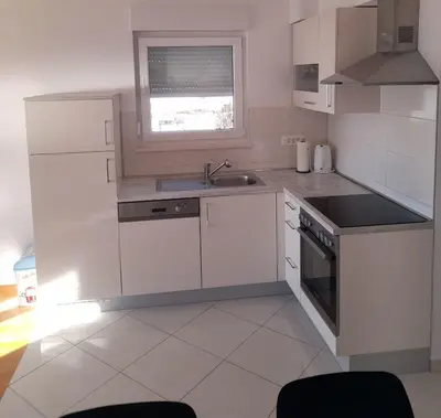 Kuhinja ili čajna kuhinja u objektu Pere Apartment