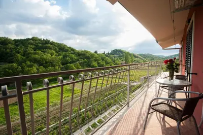 Priroda u blizini apartmana