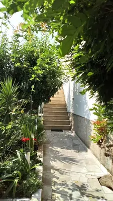 Vrt u objektu Apartments with a parking space Mirca, Brac - 730