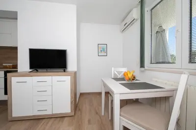 TV i/ili zabavni centar u objektu Apartments Villa Mili