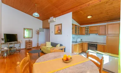 Kuhinja ili čajna kuhinja u objektu Apartments Ozren
