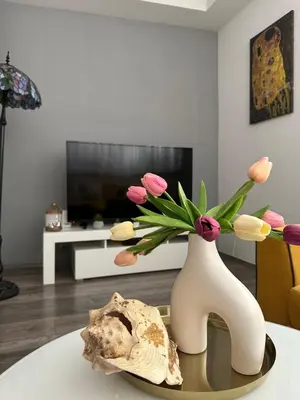 TV i/ili zabavni centar u objektu Providenca Apartments