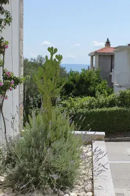 Priroda u blizini apartmana