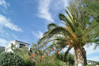 Vrt u objektu Apartments by the sea Zavala, Hvar - 553