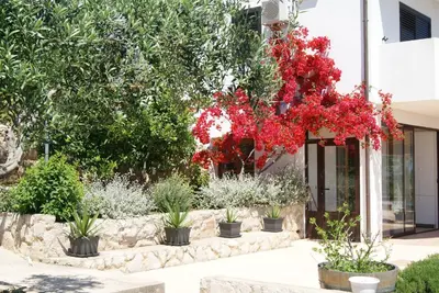 Vrt u objektu Apartment Zavala 553d