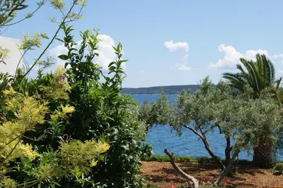 Priroda u blizini apartmana