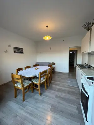 Kuhinja ili čajna kuhinja u objektu Apartman Ivica