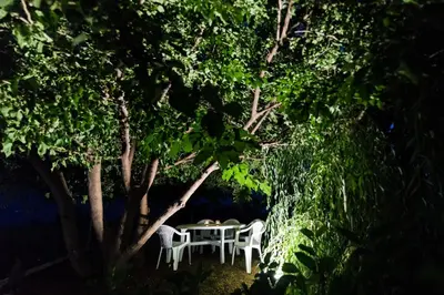 Priroda u blizini apartmana
