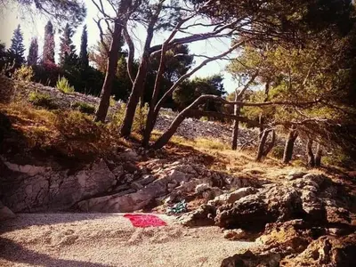 Priroda u blizini apartmana