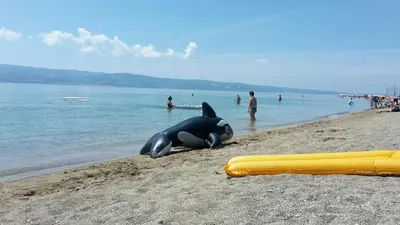 Priroda u blizini apartmana