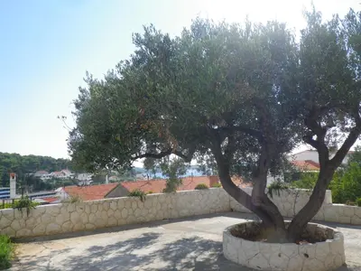 Tlocrt objekta Apartments and rooms with parking space Hvar - 13296