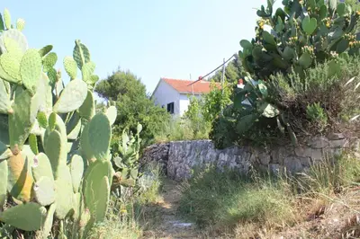 Priroda u blizini apartmana