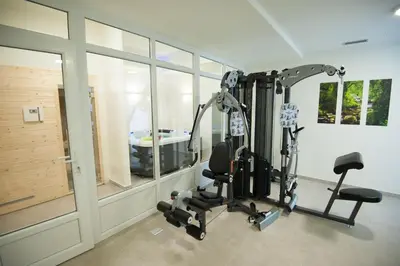Fitness centar i/ili fitness sadržaji u objektu Seaside Luxury Suites