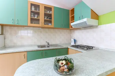 Kuhinja ili čajna kuhinja u objektu Apartments Ivanović