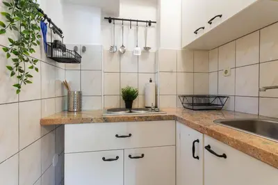 Kuhinja ili čajna kuhinja u objektu Central View Apartment